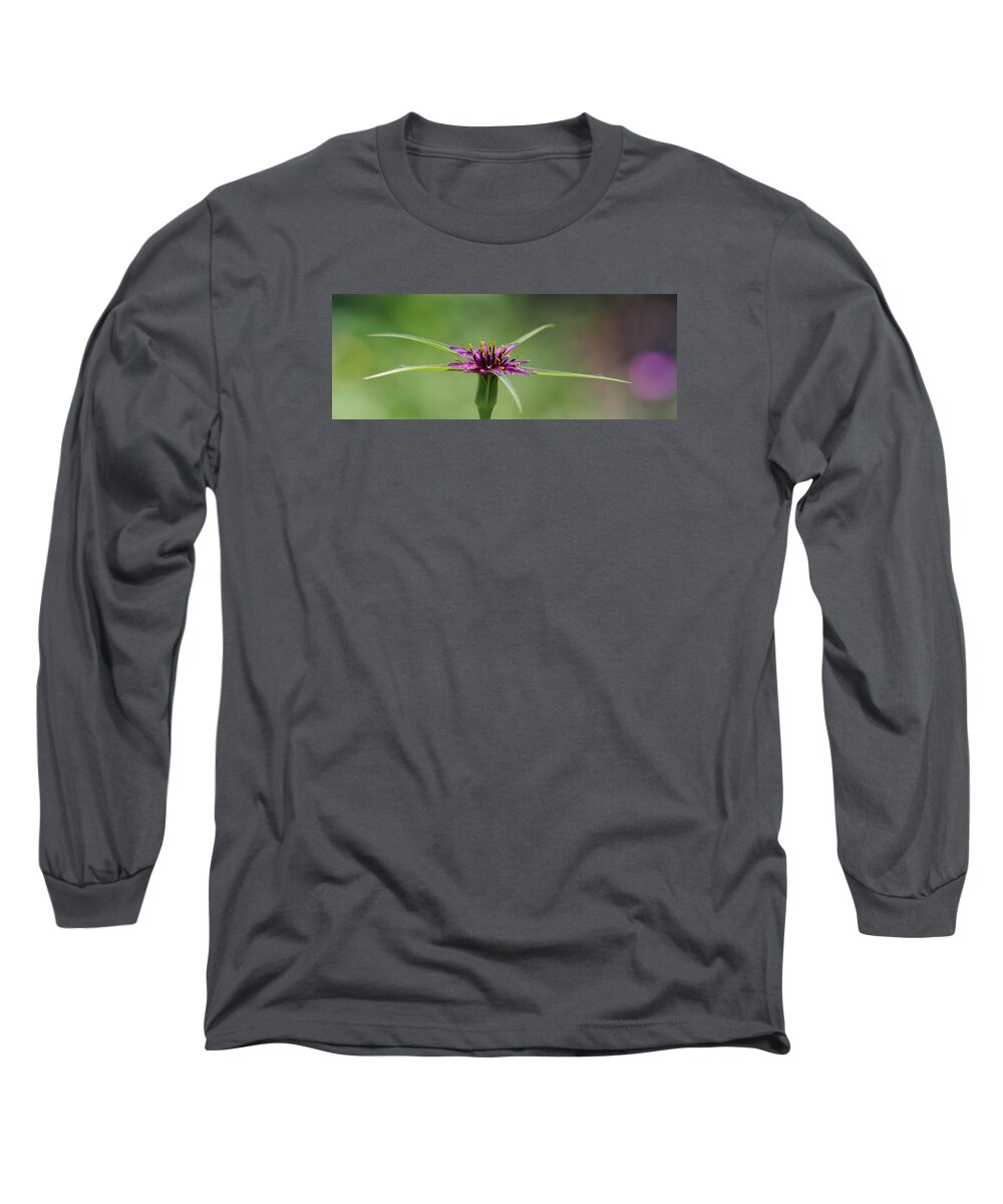 Purple Long Sleeve T-Shirt featuring the photograph Twinkle Twinkle by Richard Patmore