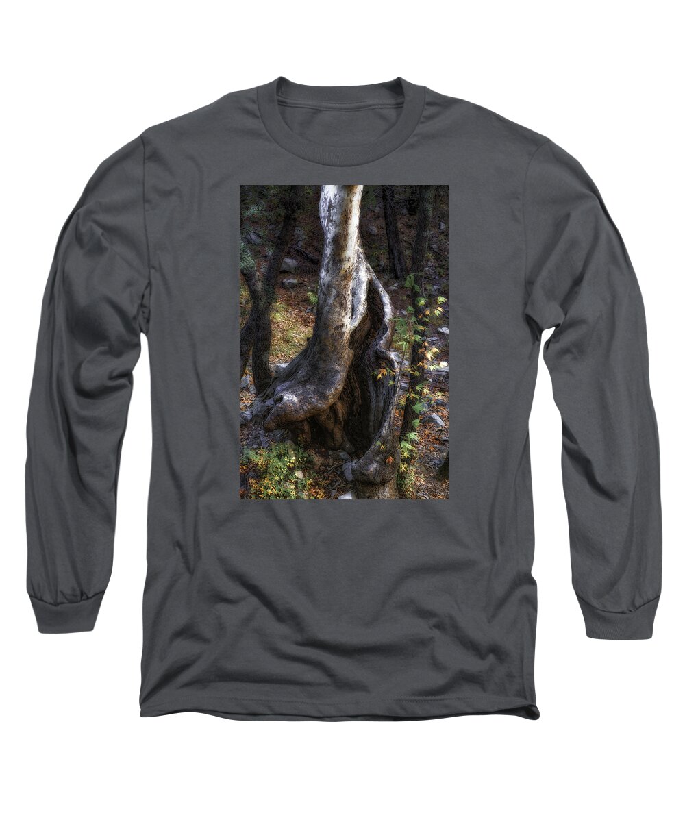 Tree; Leaves; Forest; Orange; Arizona Long Sleeve T-Shirt featuring the photograph Twisted Trunk, Santa Rita Mountains, Arizona by Michael Newberry