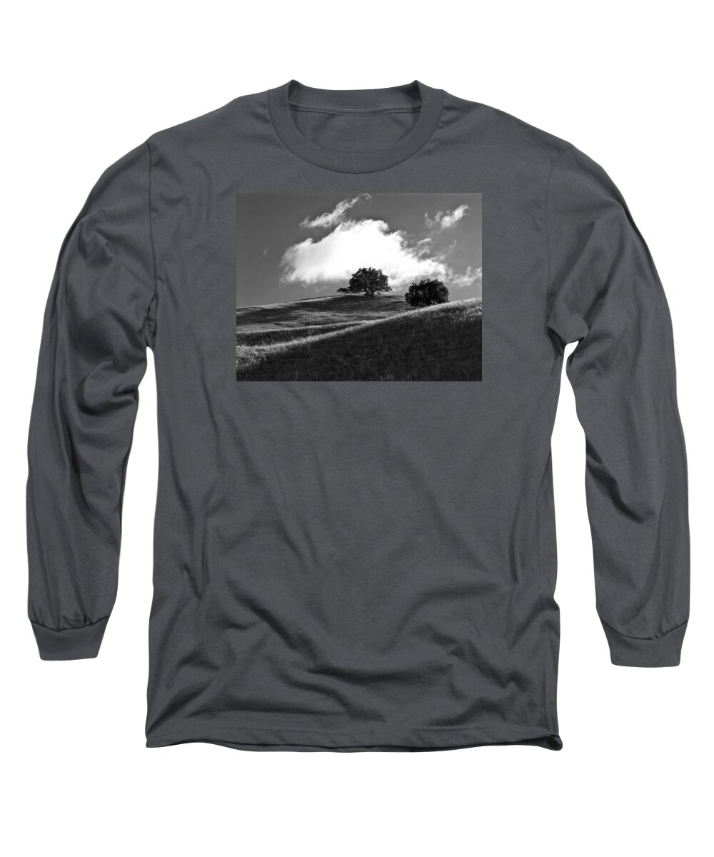 Oak Long Sleeve T-Shirt featuring the photograph Two Brothers by Brad Hodges