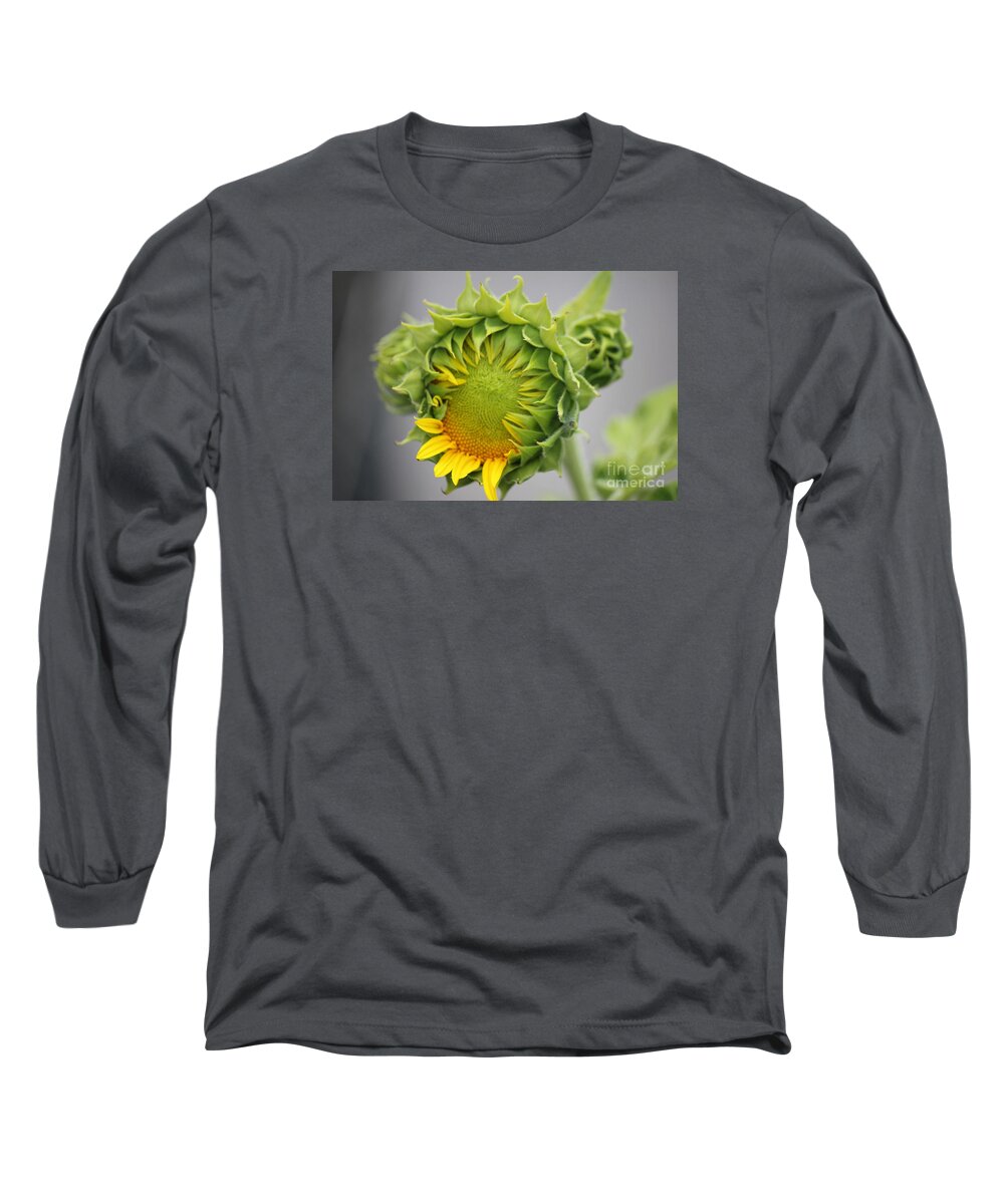 Sunflower Long Sleeve T-Shirt featuring the photograph Unfolding Sunflower by Sheri Simmons