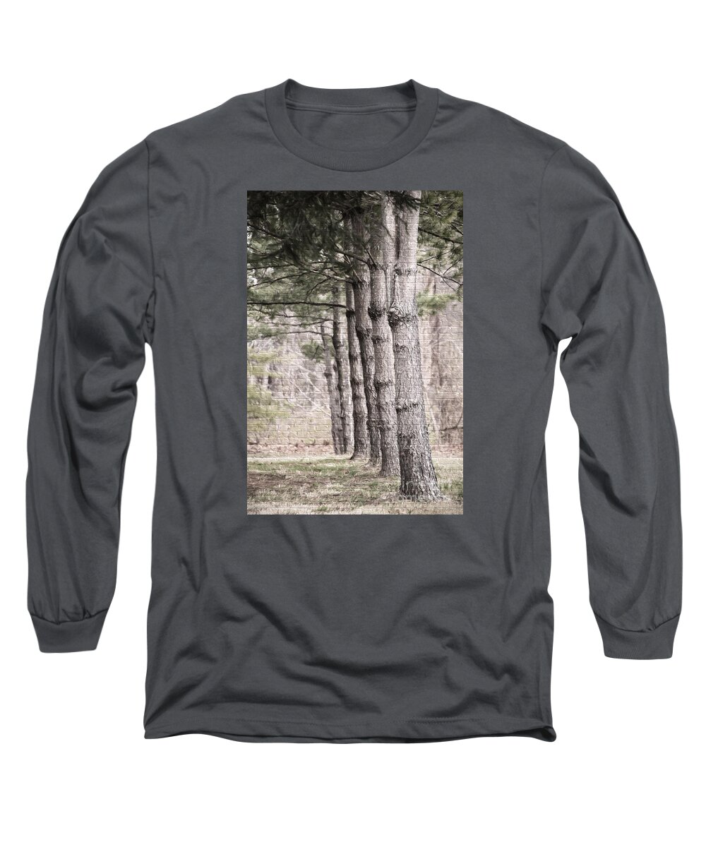 Nature Long Sleeve T-Shirt featuring the photograph Urban Forestry by Sharon McConnell