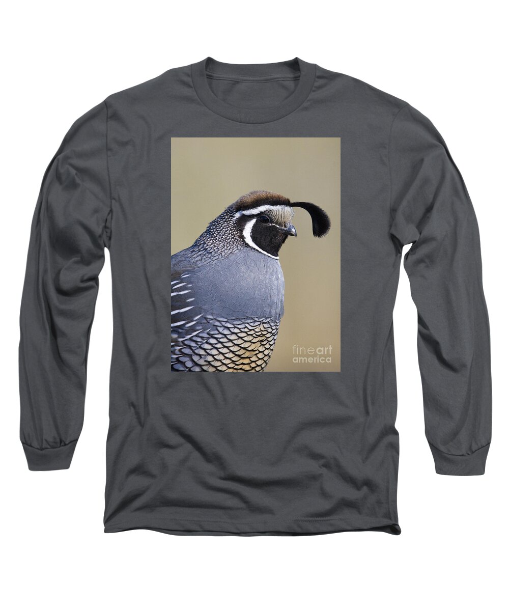 Quail Long Sleeve T-Shirt featuring the photograph Valley by Douglas Kikendall