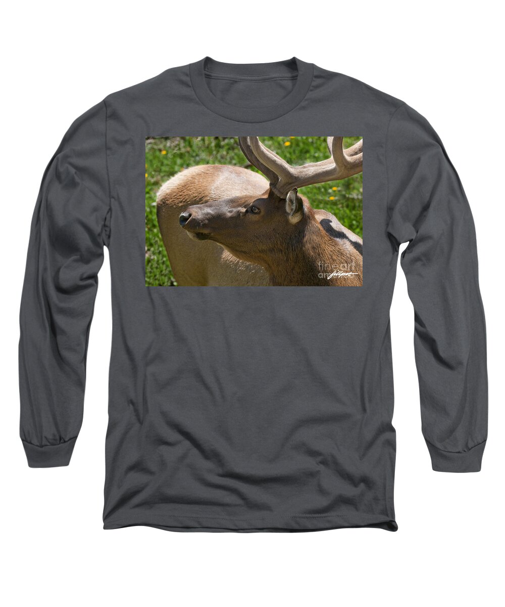 Bull Elk Long Sleeve T-Shirt featuring the photograph Velvet by Bon and Jim Fillpot