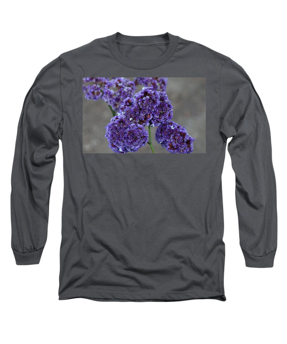 Flowers Long Sleeve T-Shirt featuring the photograph Violet Beauty by Christy Pooschke