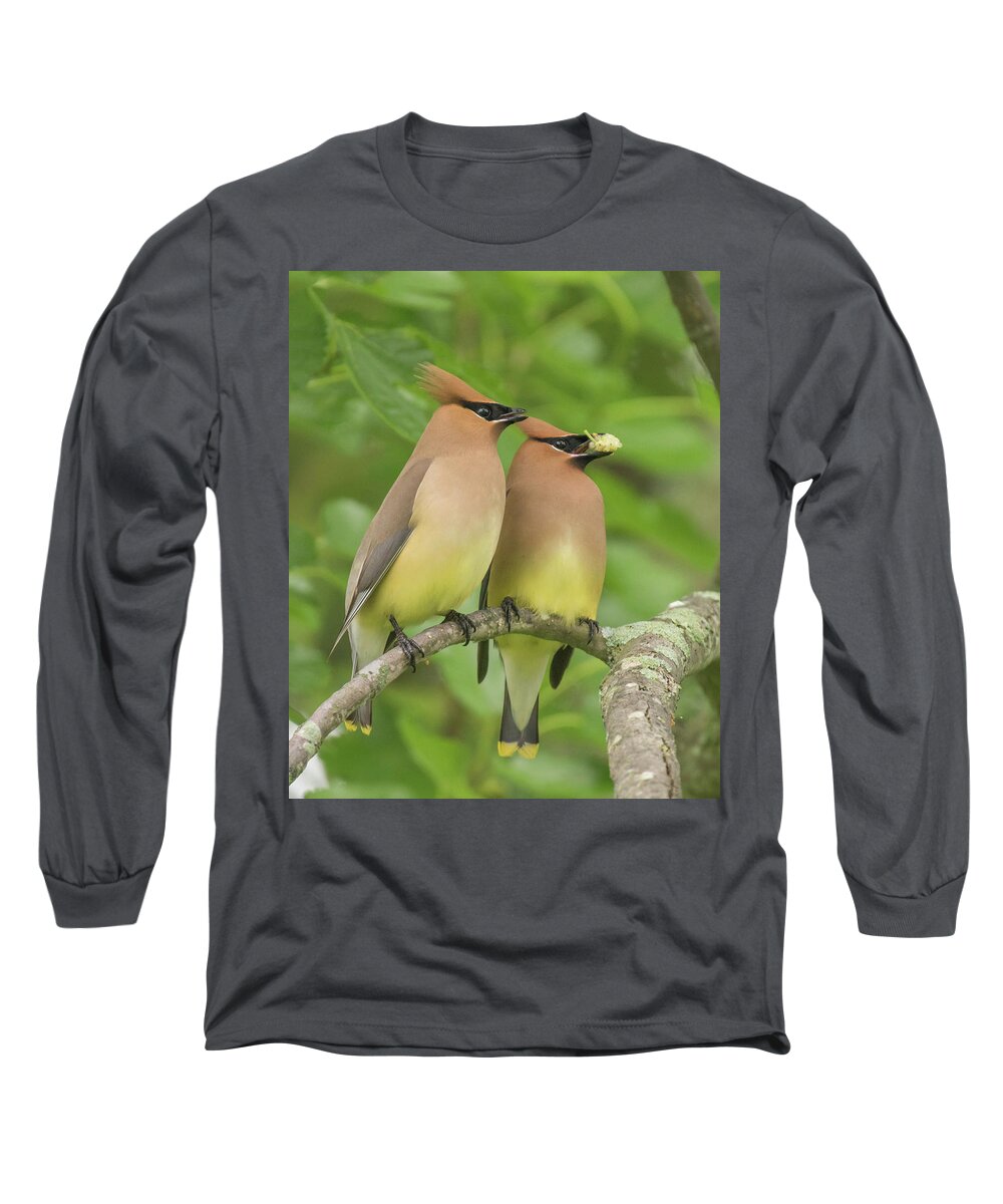 Bird Long Sleeve T-Shirt featuring the photograph Virginia is for Lovers by Jody Partin