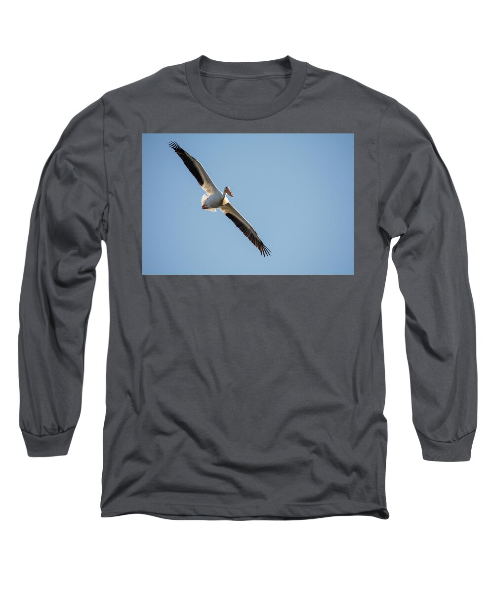 Pelican Long Sleeve T-Shirt featuring the photograph Voyage by Brian Duram