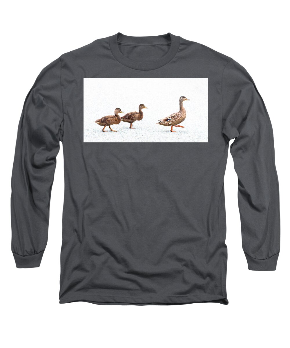 Ducks Long Sleeve T-Shirt featuring the photograph Walk This Way by Jeff Cooper