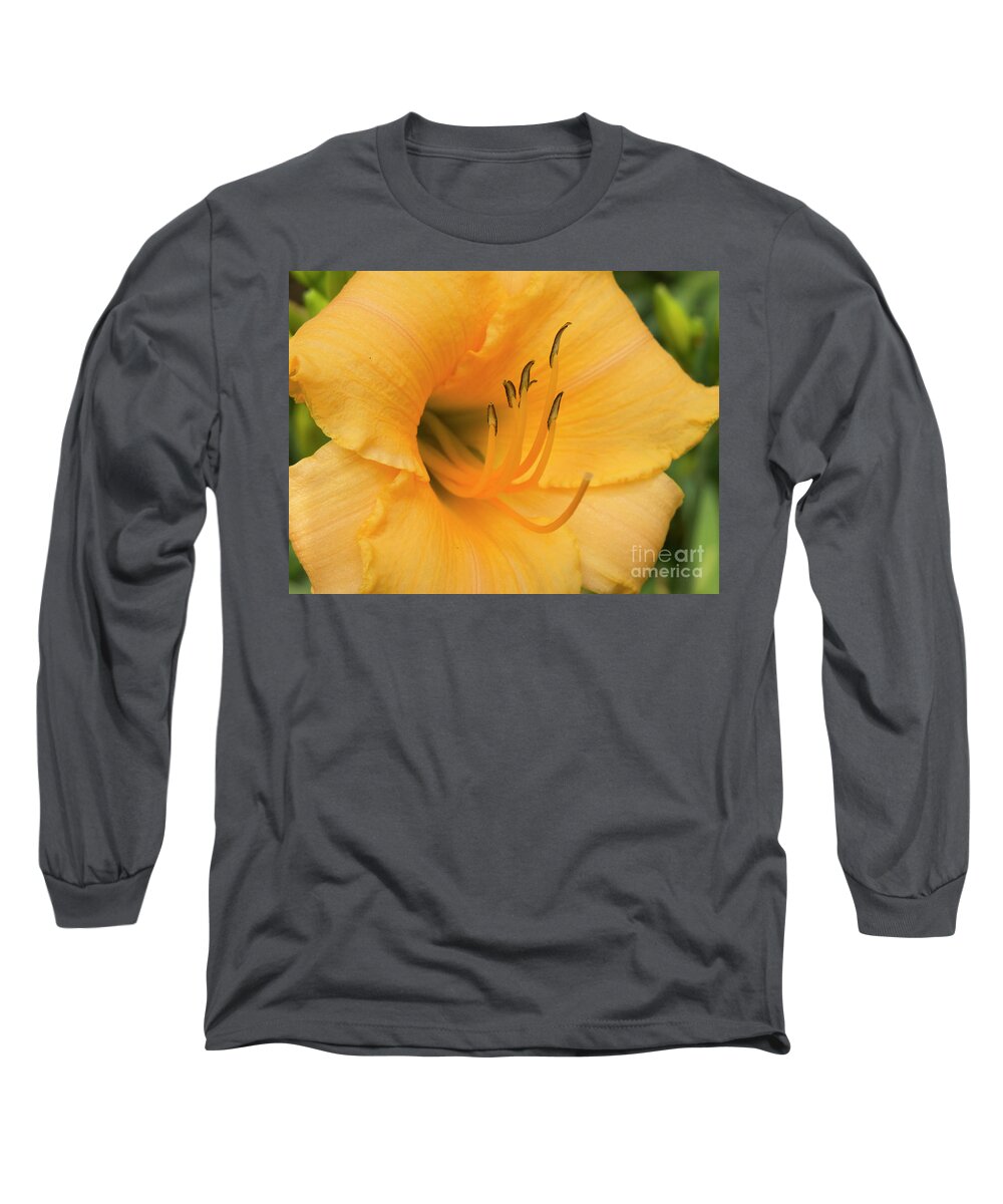 Flower Long Sleeve T-Shirt featuring the photograph Warm Thoughts by Jon Munson II