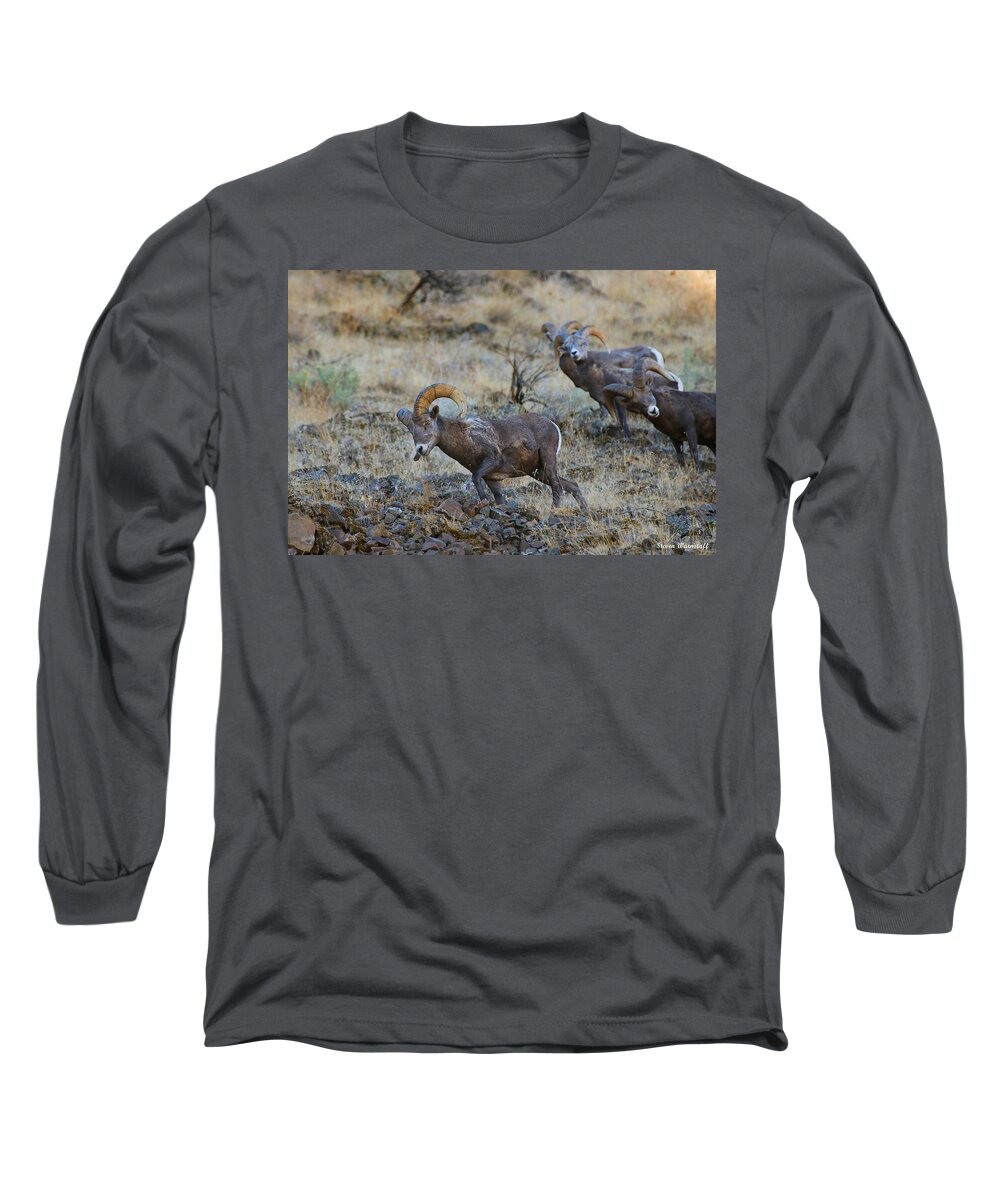 Oregon Long Sleeve T-Shirt featuring the photograph Watch It by Steve Warnstaff