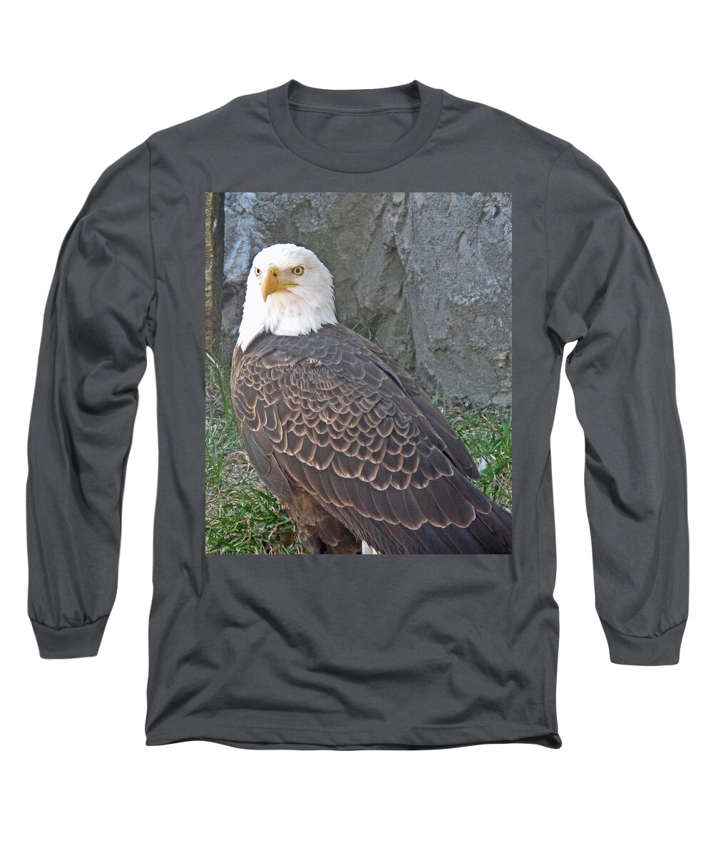 Eagle Long Sleeve T-Shirt featuring the photograph Watching by Barbara McDevitt