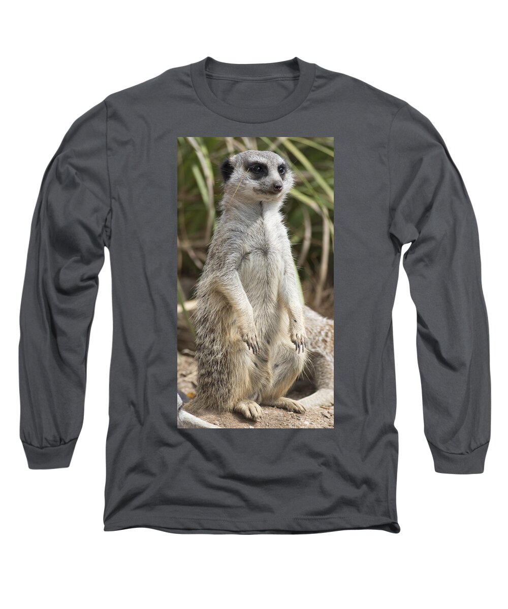 Animal Long Sleeve T-Shirt featuring the photograph Watching Out by Masami Iida