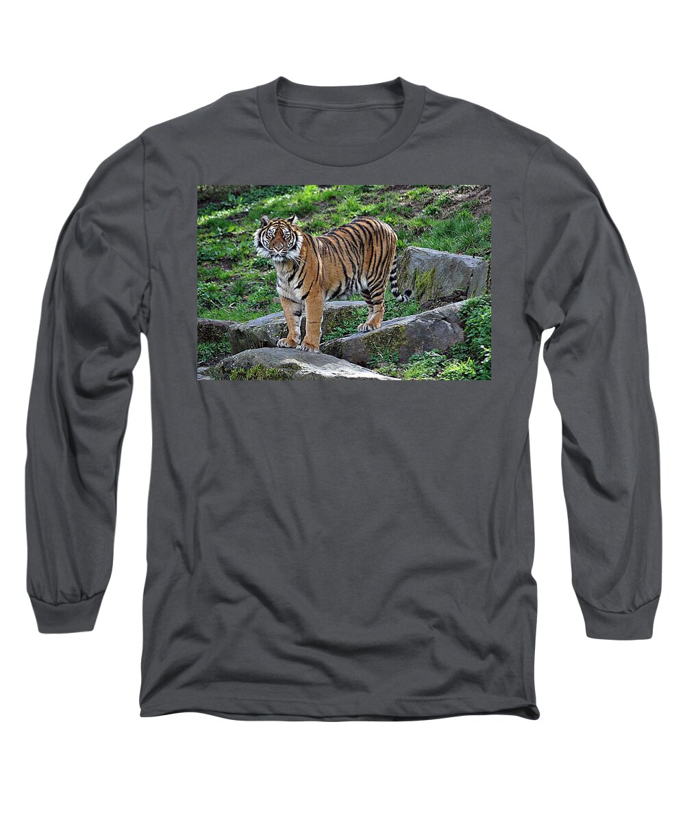 Tiger Long Sleeve T-Shirt featuring the photograph Watching Tiger by John Hughes