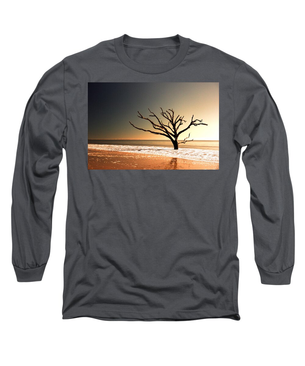 Tree Long Sleeve T-Shirt featuring the photograph We Can Be Heroes by Dana DiPasquale