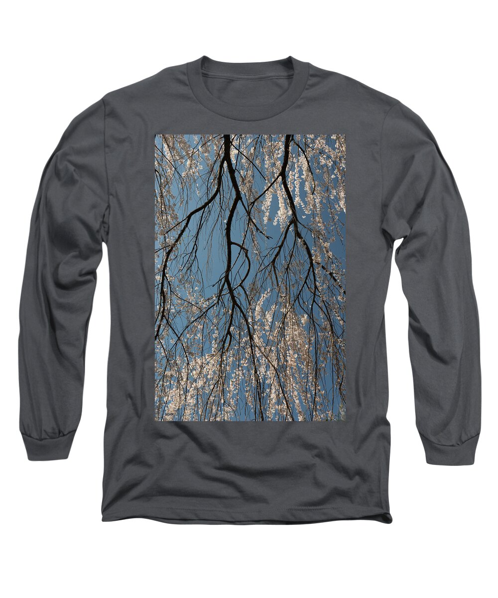Trees Long Sleeve T-Shirt featuring the photograph Weeping Cherry #2 by Dana Sohr