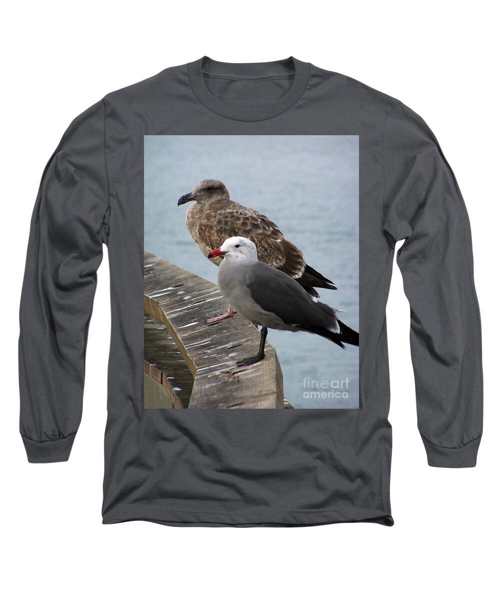 Western And Heermann's Gull Long Sleeve T-Shirt featuring the photograph Western and Heermann's Gull by Jennifer Robin