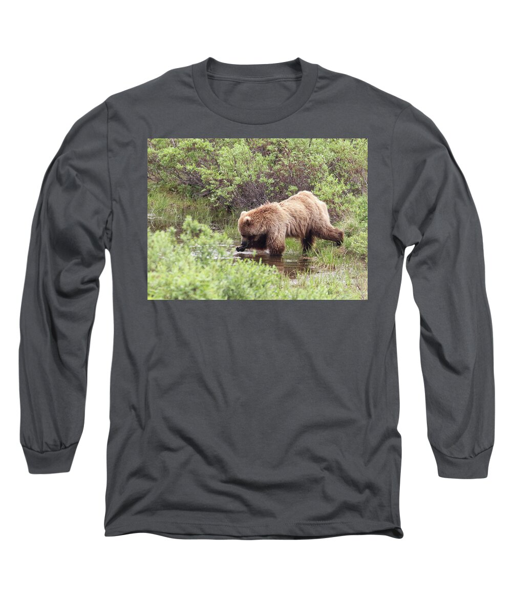 Grizzly Long Sleeve T-Shirt featuring the photograph What's This? by Jean Clark