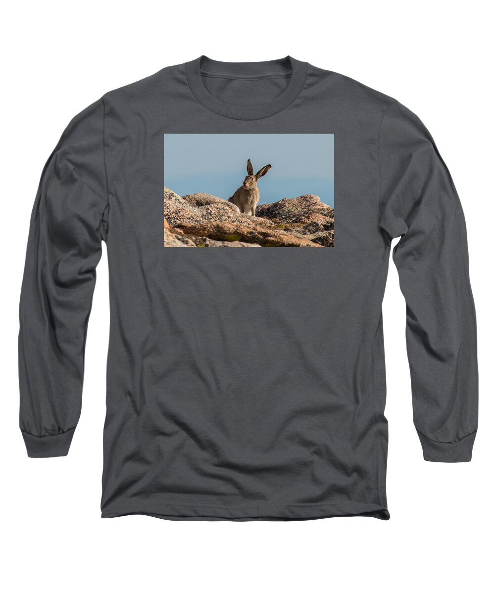 Rabbit Long Sleeve T-Shirt featuring the photograph What's up doc? by Tony Hake