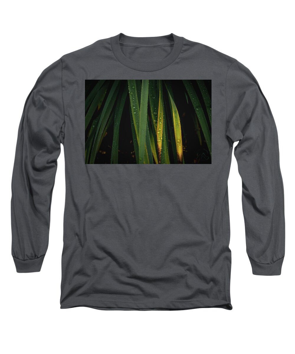 Rain Long Sleeve T-Shirt featuring the photograph When it Rains by Gene Garnace