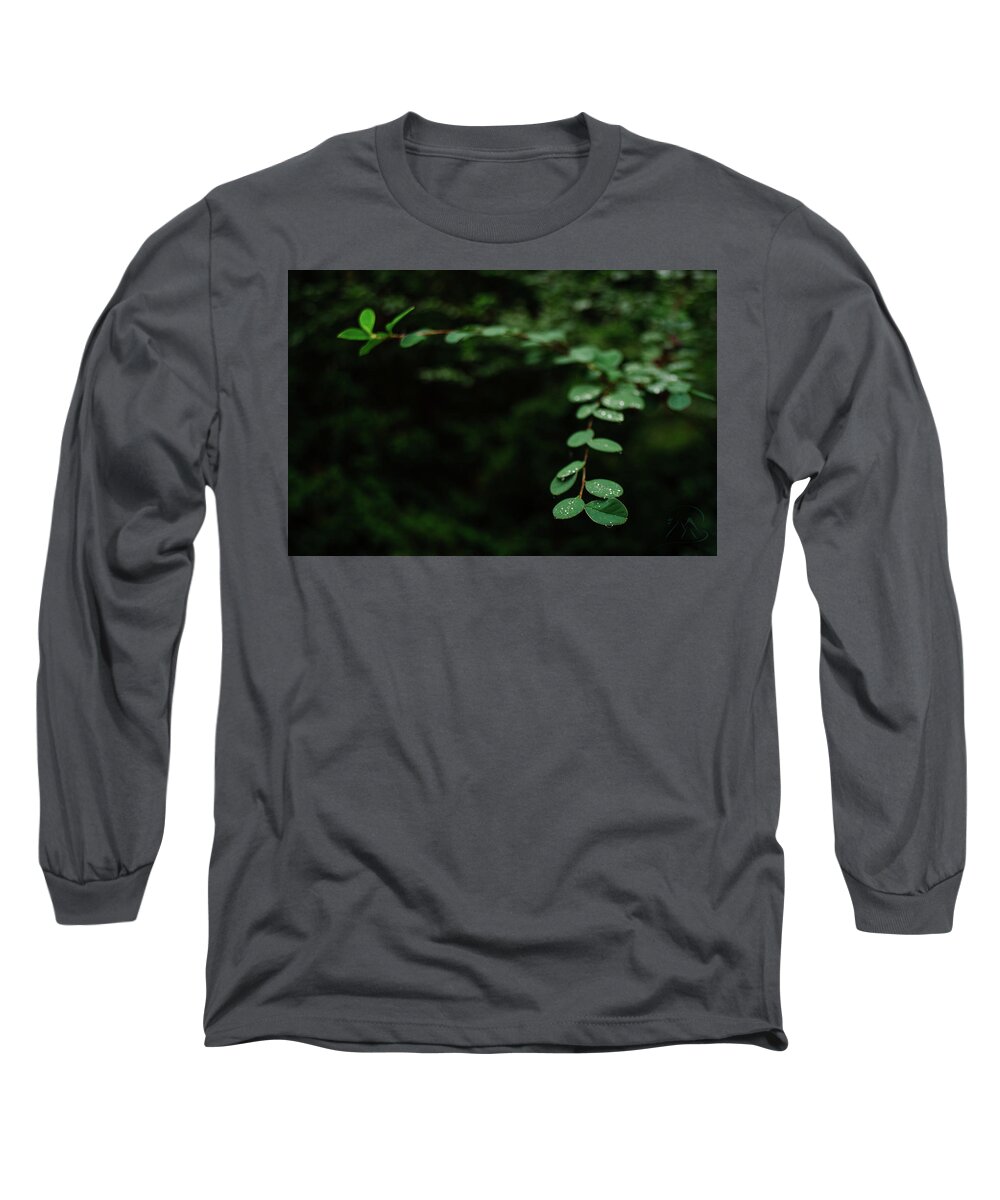 Leaves Long Sleeve T-Shirt featuring the photograph Outreaching by Gene Garnace