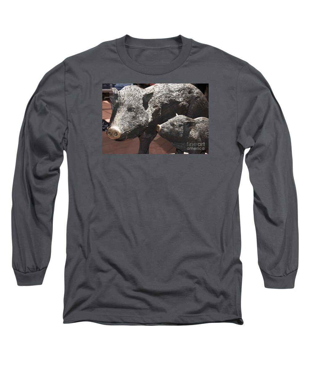 New Mexico Long Sleeve T-Shirt featuring the photograph Which Way Mama by Brenda Kean