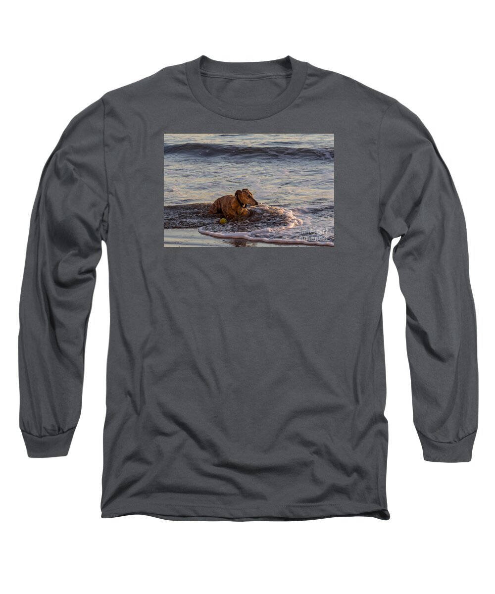 Whippet Long Sleeve T-Shirt featuring the photograph Whippet Cooling Off by Shawn Jeffries