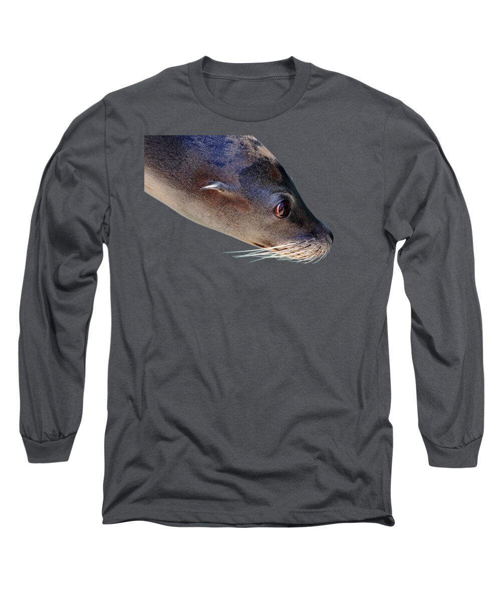 Marine Mammal Long Sleeve T-Shirt featuring the photograph Whiskers by Debbie Oppermann