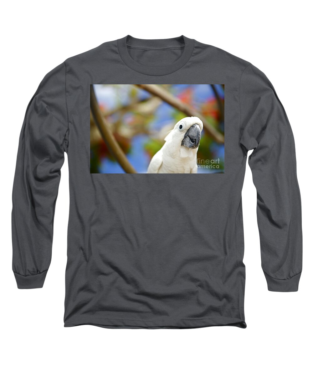 Animal Art Long Sleeve T-Shirt featuring the photograph White Cockatoo bird by Kicka Witte - Printscapes