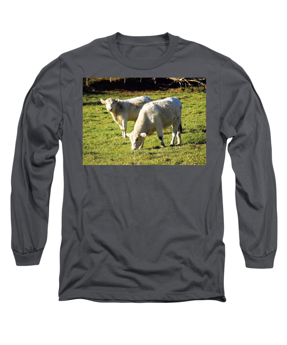 Landscape Long Sleeve T-Shirt featuring the photograph White Cows in the Field by Morgan Carter