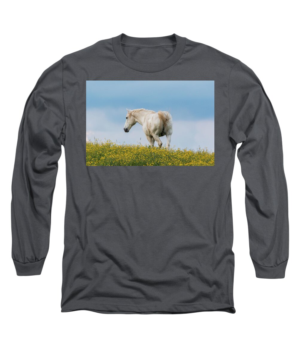 Horse Long Sleeve T-Shirt featuring the photograph White Horse of Cataloochee Ranch - May 30 2017 by D K Wall