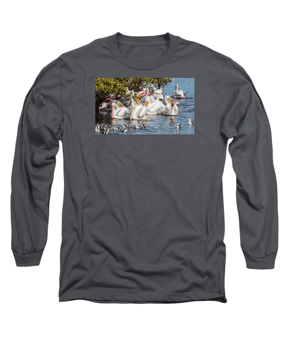 White Pelicans Long Sleeve T-Shirt featuring the photograph White Pelicans and Others by Dorothy Cunningham