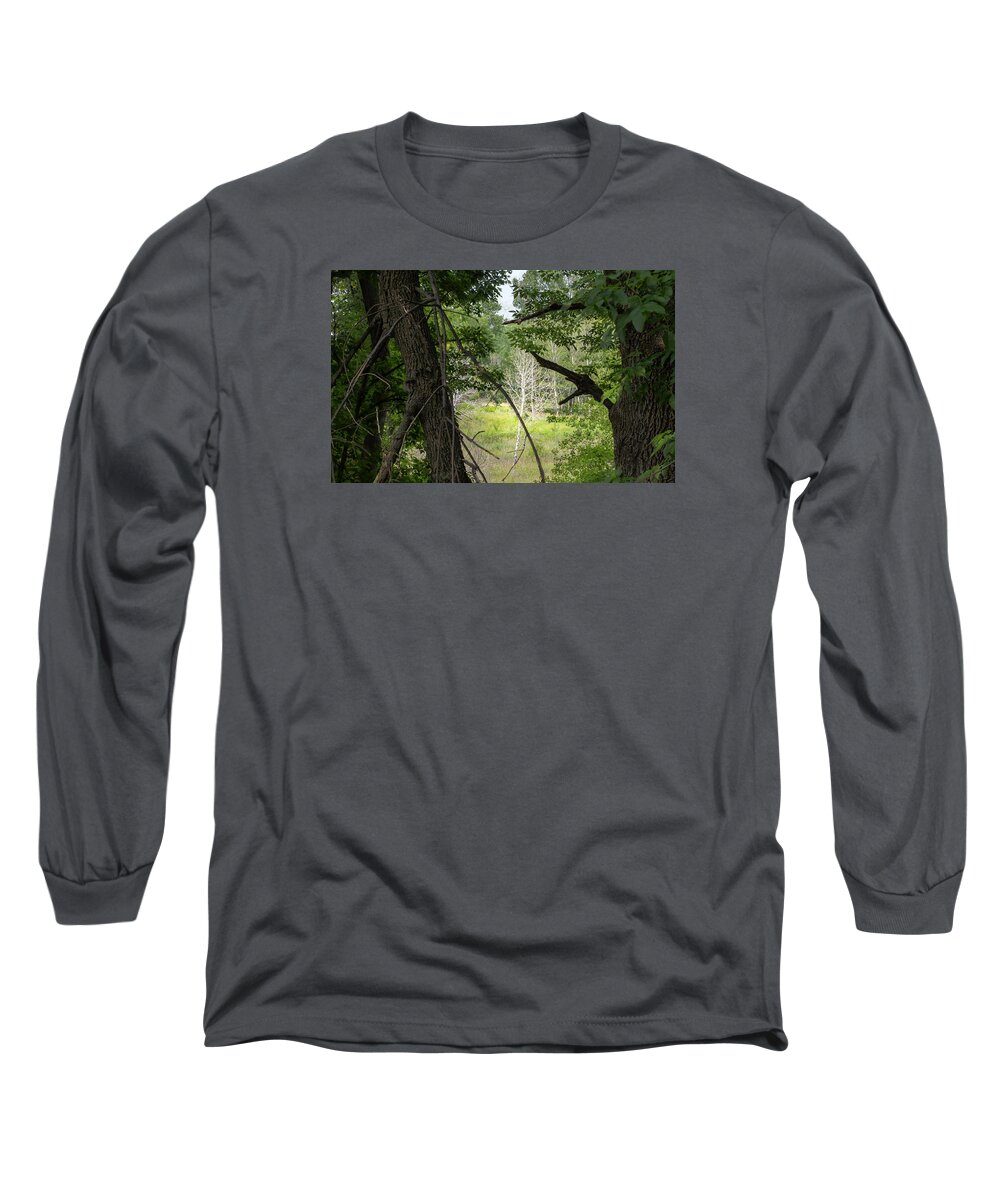 Forest Long Sleeve T-Shirt featuring the photograph White Tree in Magic Forest by Lynn Hansen