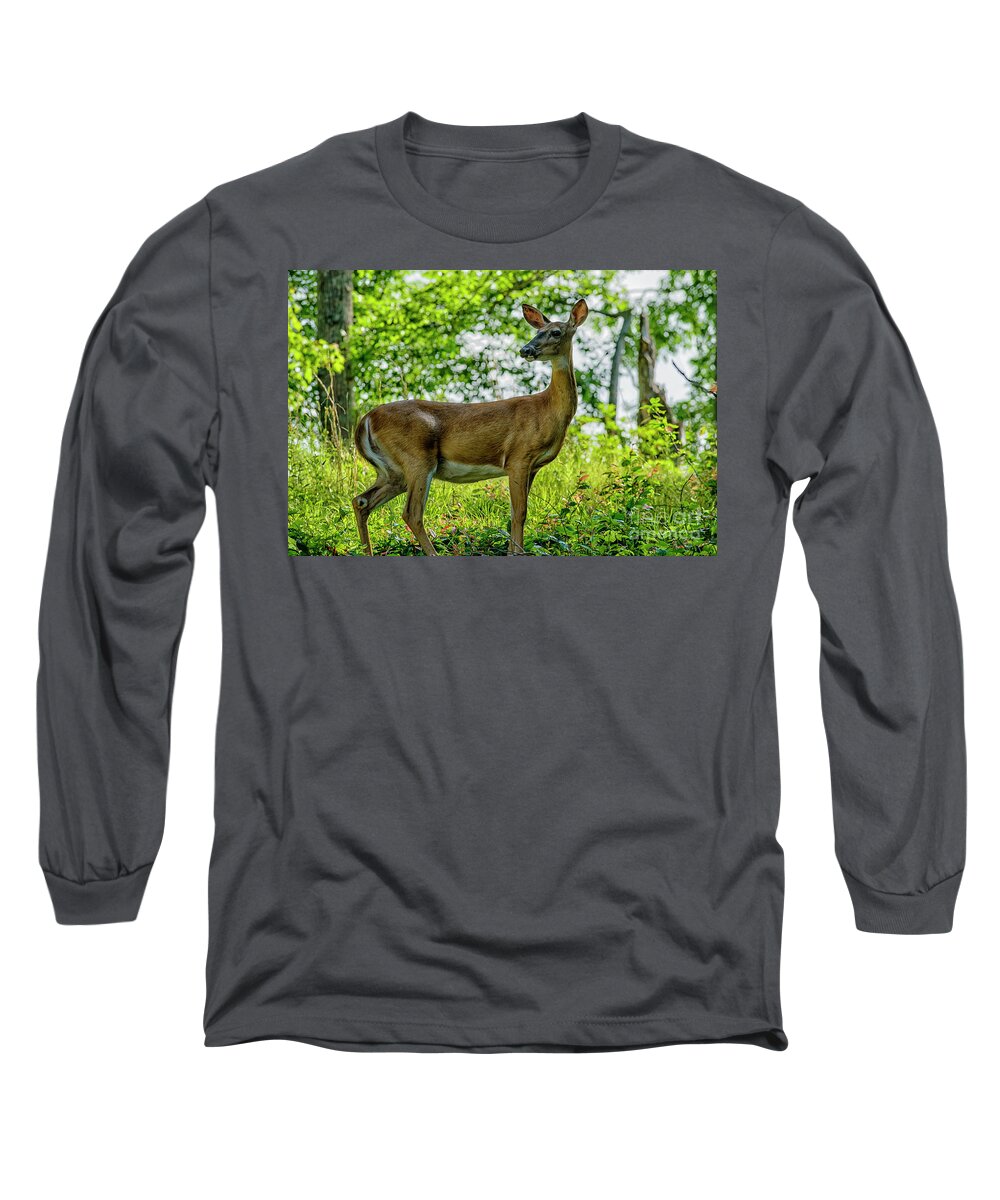 Whitetail Deer Long Sleeve T-Shirt featuring the photograph Whitetail Deer by Thomas R Fletcher