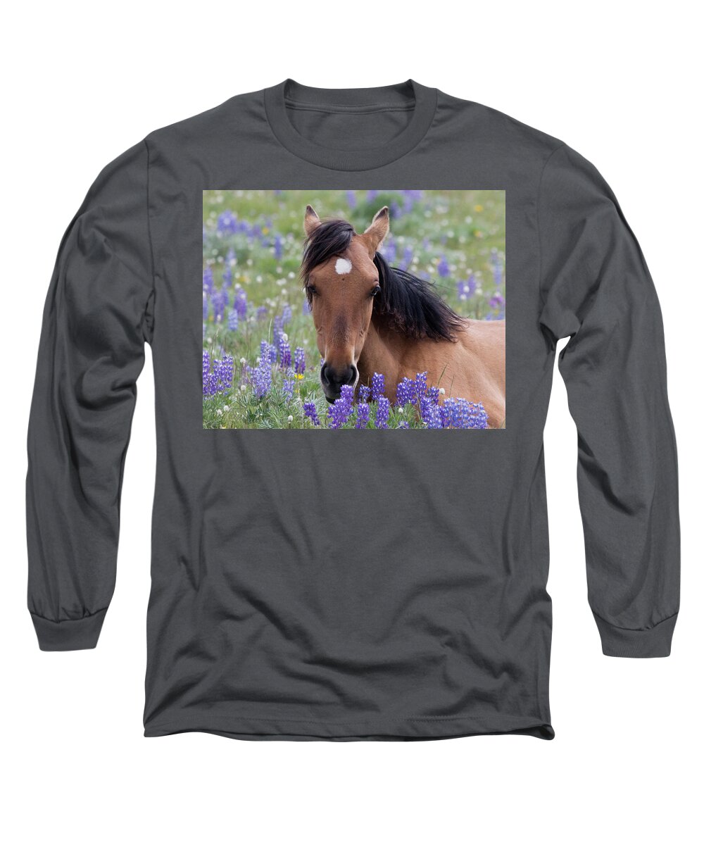 Wild Horse Long Sleeve T-Shirt featuring the photograph Wild Horse Among Lupines by Mark Miller