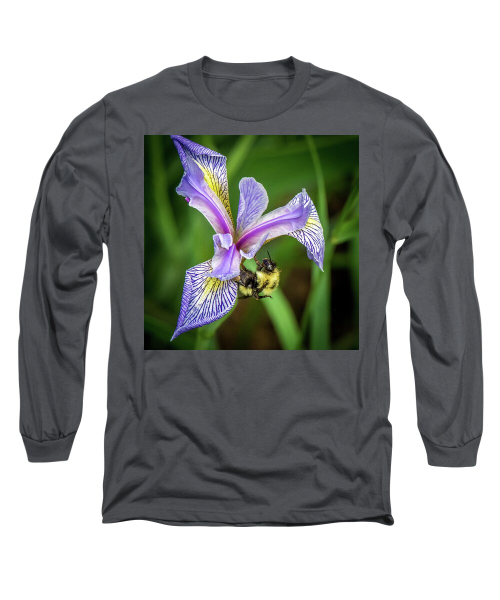 Wild Iris Long Sleeve T-Shirt featuring the photograph Wild Iris With Bee by Paul Freidlund