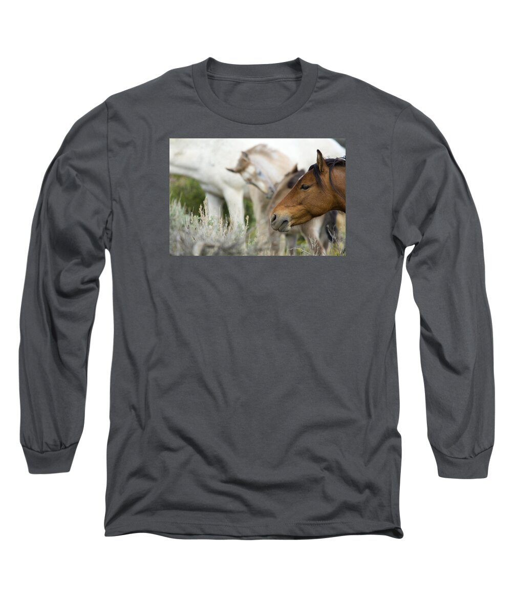 Horses Long Sleeve T-Shirt featuring the photograph Wild Mustang Horses #2 by Waterdancer 