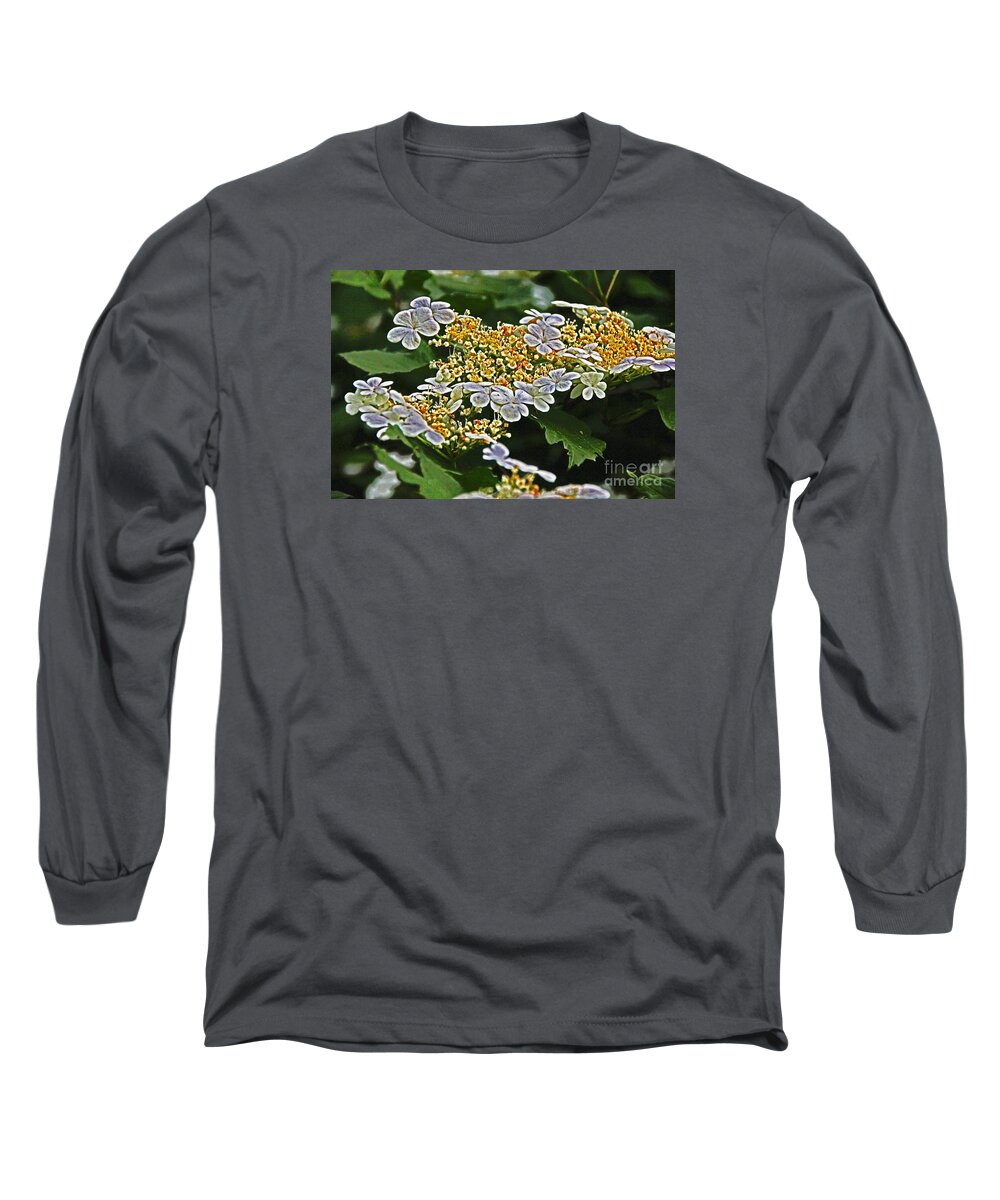 Flowers Long Sleeve T-Shirt featuring the photograph Wild Phlox in Autumn by David Frederick