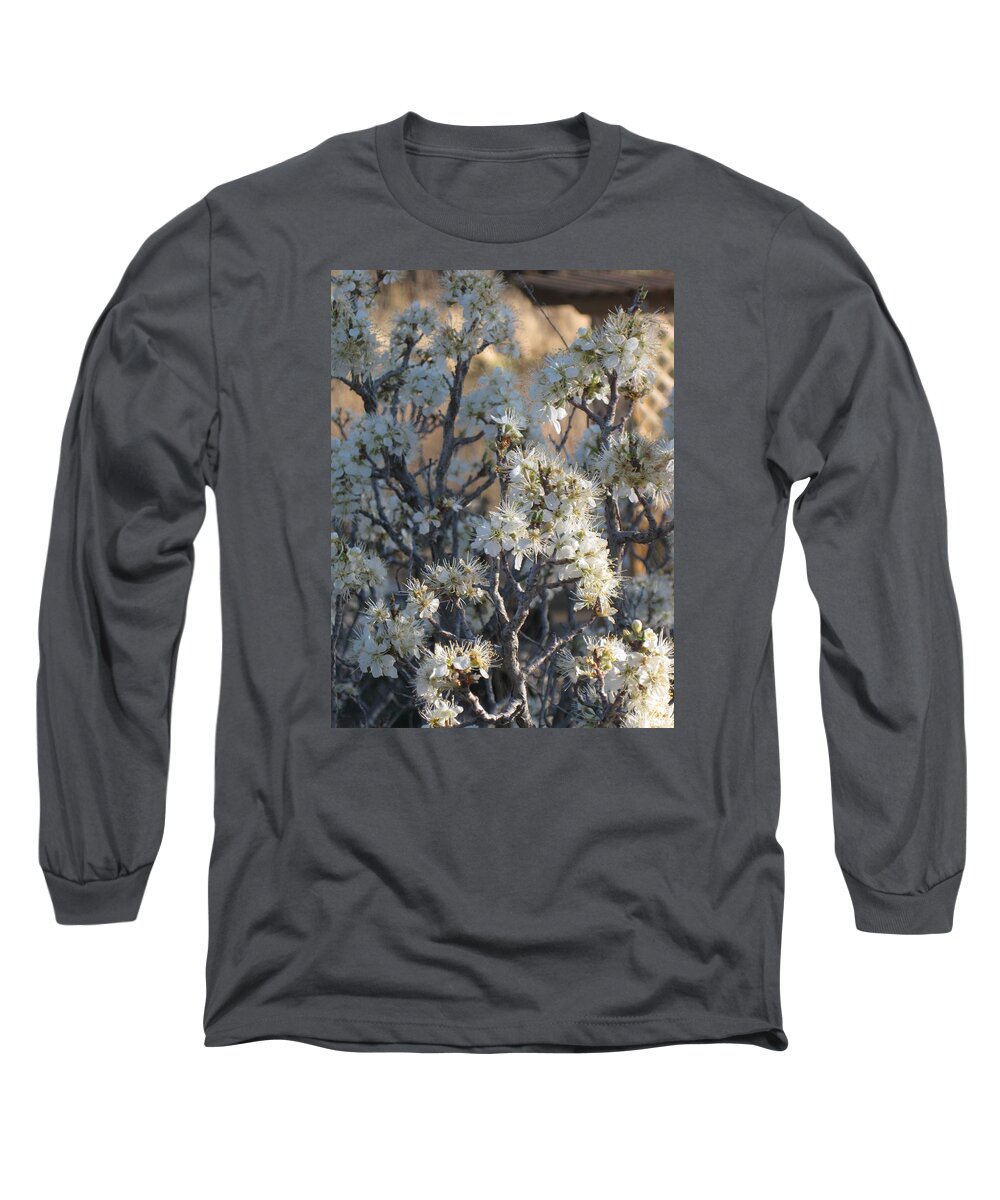  Long Sleeve T-Shirt featuring the photograph Wild Plum Promise by Ron Monsour
