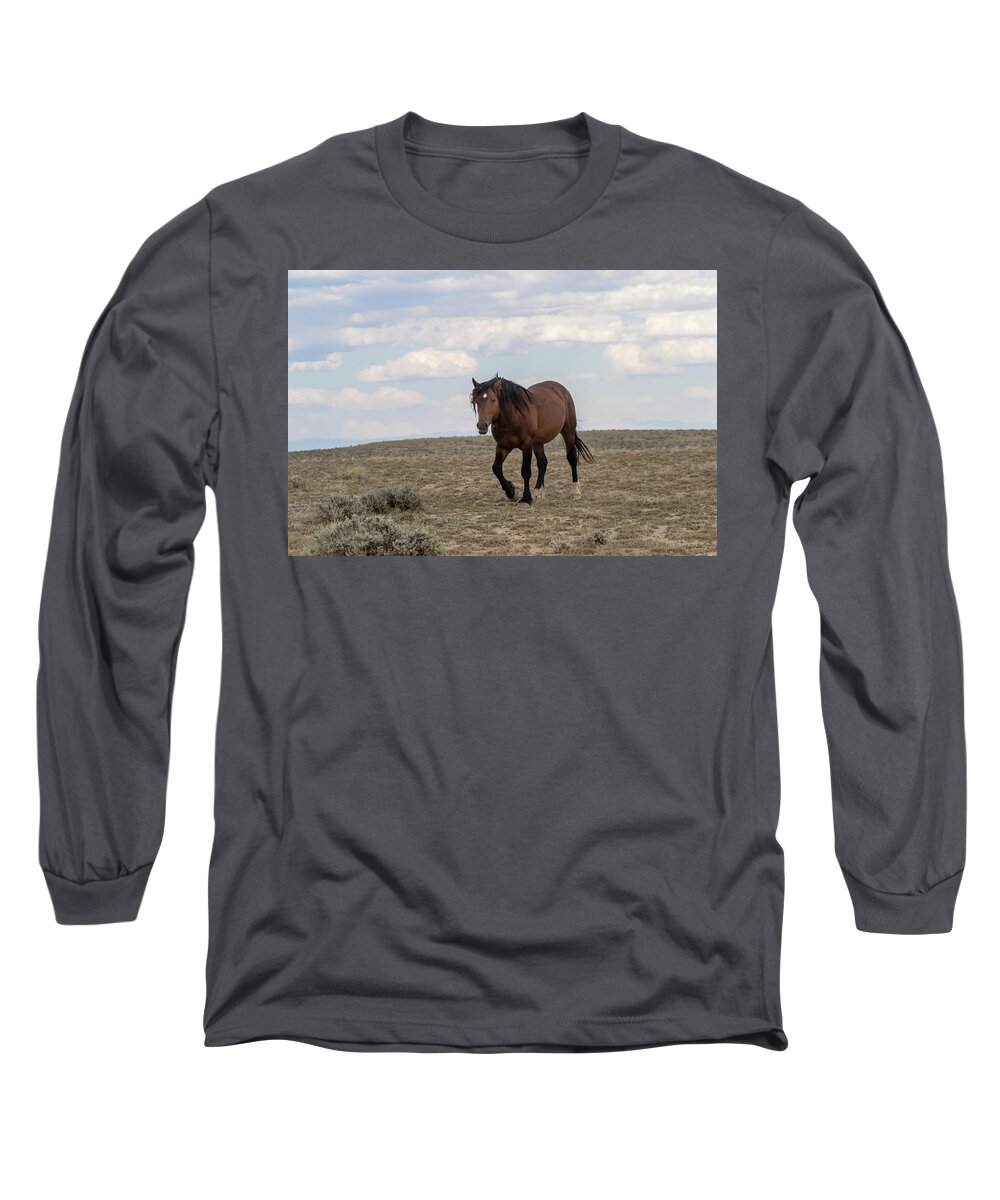 Stallion Long Sleeve T-Shirt featuring the photograph Wild Stallion by Ronnie And Frances Howard
