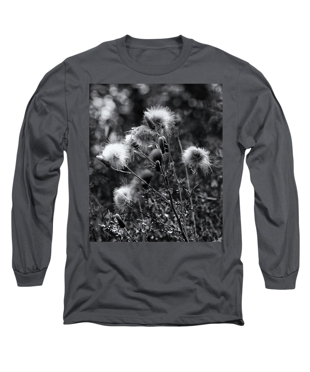 Wildflowers Long Sleeve T-Shirt featuring the photograph Wildflowers and Seedheads Monochrome by Jeff Townsend