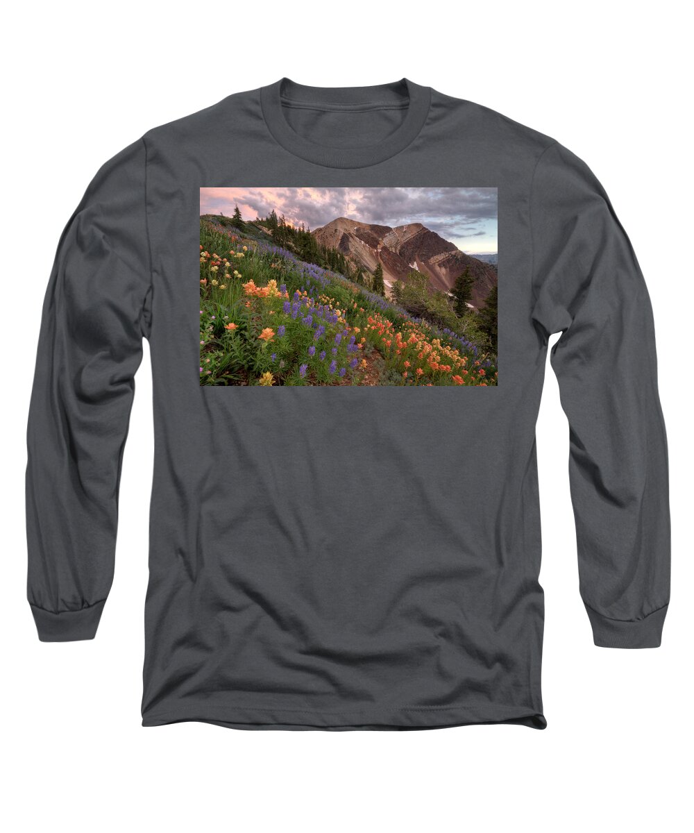 Landscape Long Sleeve T-Shirt featuring the photograph Wildflowers with Twin Peaks at Sunset by Brett Pelletier