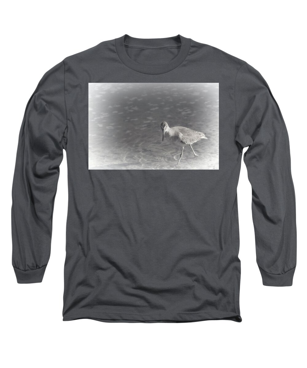 Florida Long Sleeve T-Shirt featuring the photograph Willet Walk - Misty Beach Morning by Mitch Spence
