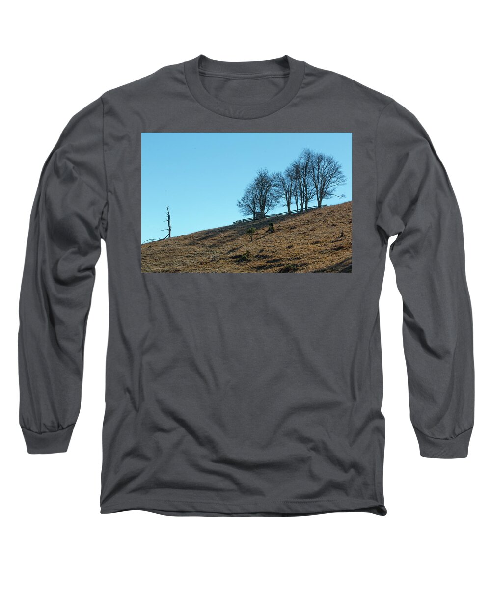 Windswept Long Sleeve T-Shirt featuring the photograph Windswept Trees - December 7 2016 by D K Wall