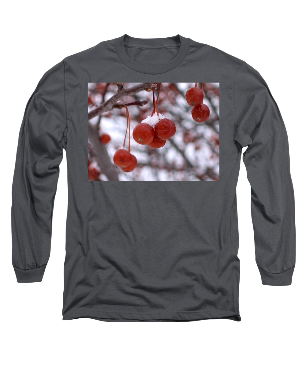 Winter Long Sleeve T-Shirt featuring the photograph Winter Berries by Laura Kinker