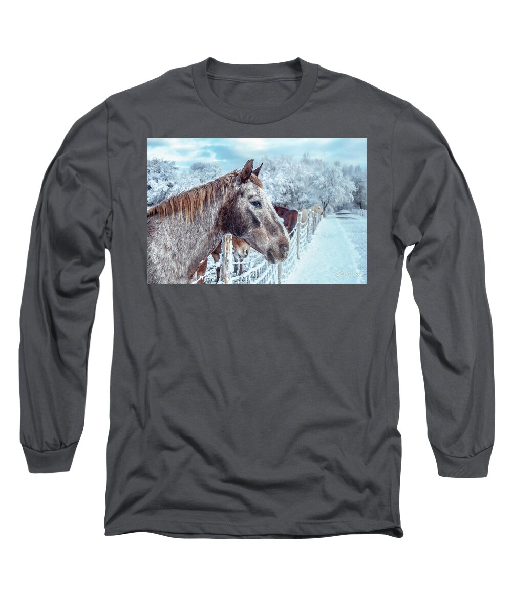 Horses Long Sleeve T-Shirt featuring the photograph Winter Horses by Steven Milner