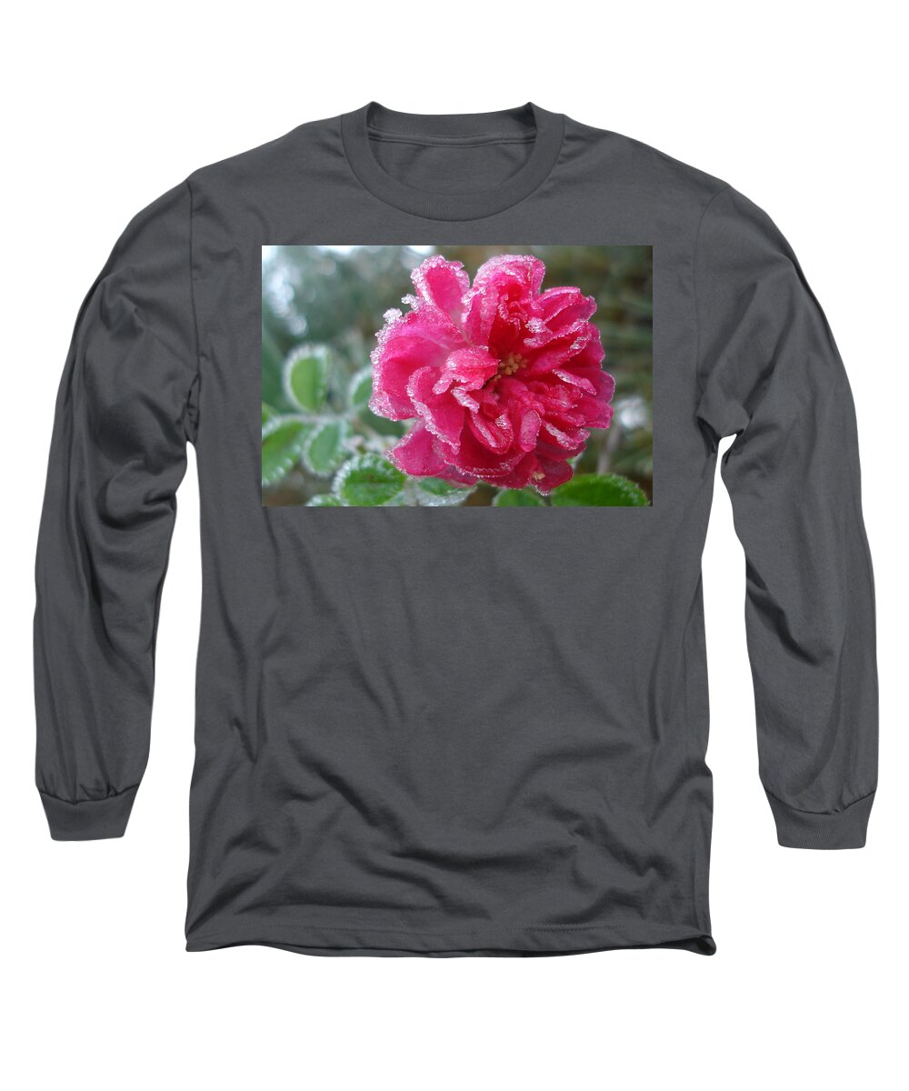 Rose Long Sleeve T-Shirt featuring the photograph Winter Rose by Susan Baker
