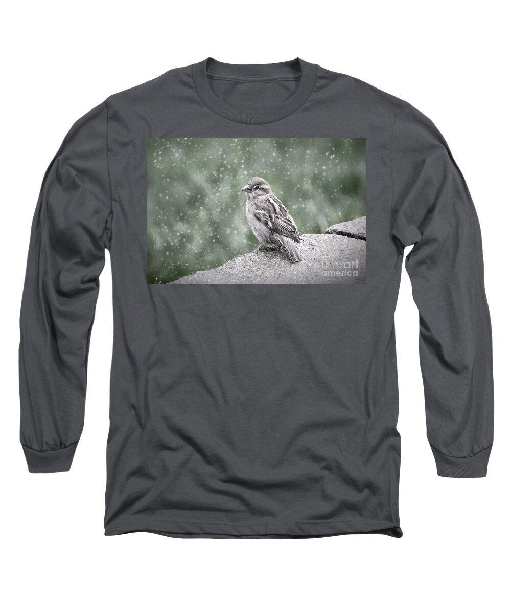 Nature Long Sleeve T-Shirt featuring the photograph Winter Sparrow by Sharon McConnell