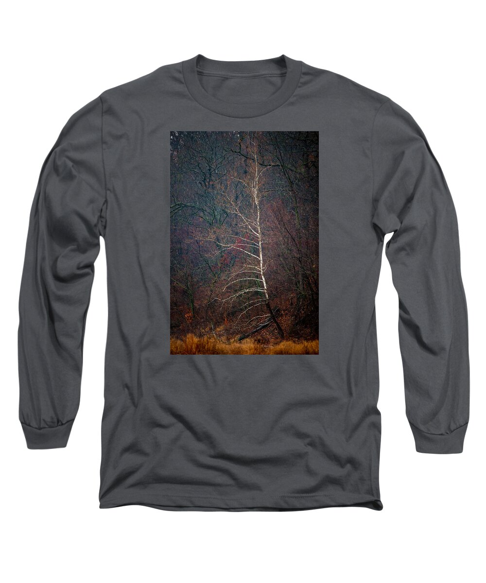 Landscape Long Sleeve T-Shirt featuring the photograph Winter Sycamore by Jeff Phillippi