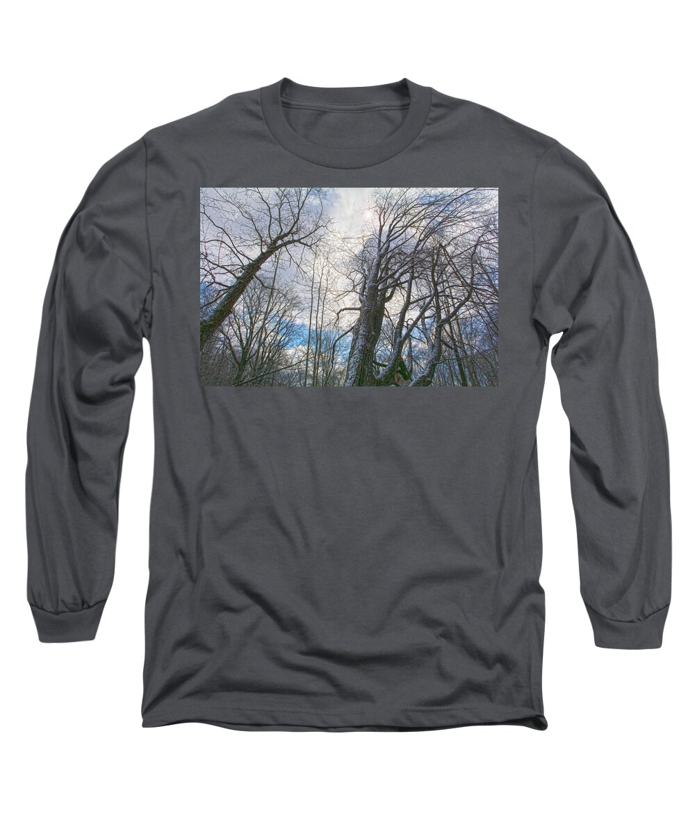 Wisdom Long Sleeve T-Shirt featuring the photograph Wisdom Of The Trees by Angelo Marcialis