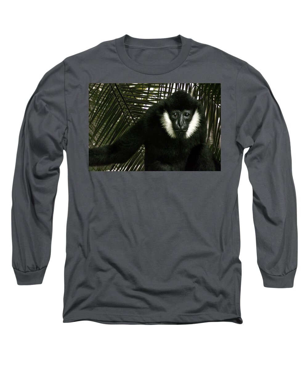 Photography Long Sleeve T-Shirt featuring the photograph Wise Elder by Kathleen Messmer