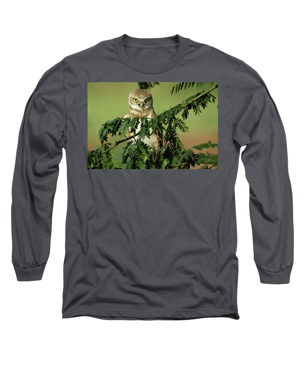 Owl Long Sleeve T-Shirt featuring the photograph Wise Watcher by Sue Cullumber